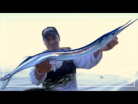 PIĘKNE BELONY NA SPINNING Z BRZEGU | JAK WYJĄĆ HAK Z PALCA