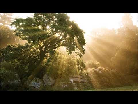 Zaffux & Zetepa - Lepää rauhassa