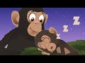 Sleep Tight Lullaby Dr Poppy On Safari Animals For Kids Sleepy Bedtime Songs