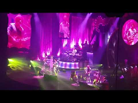 잔나비~ The secret of hard rock