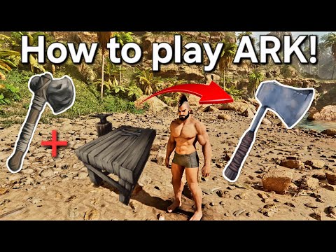 Ark Survival Ascended BEGINNERS guide for PC, Xbox, and PS5!