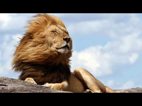 Glorious Morning (Age of War theme) x2 + extended metal version