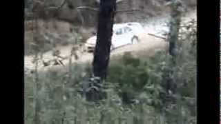 preview picture of video 'Rally Pampilhosa da Serra.TRRC.17-11-2013. 2ª Parte.'