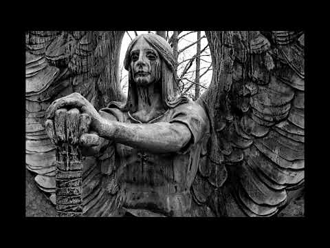 Weenaper aka łdzshuriken333 - Angel Dust