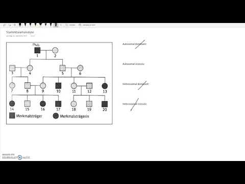 Stammbaumanalyse