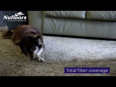 Rick Cotter Memorial Junior Classic - Draw 1