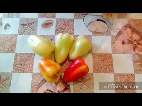 ЗАМОРОЗКА ОВОЩЕЙ ПЕРЕЦ ДЛЯ ФАРШИРОВКИ
