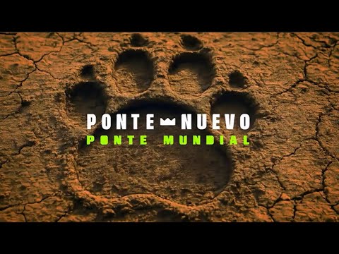 ¡Ponte Nuevo, Ponte Mundial!