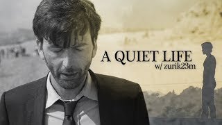 Multifandom || A Quiet Life (collab w/ Zurik23M)