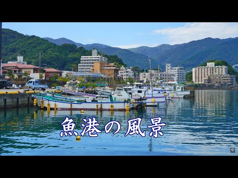 漁港の風景