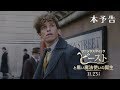 Fantastic Beasts: The Crimes of Grindelwald - International Trailer
