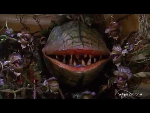 Little Shop Of Horrors - Mean Green Mother From Outer Space