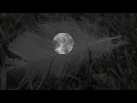 Dovč & Gombač - V blazinah vonj ostal je tvojih las