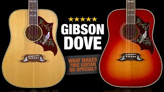 Video thumbnail for The Gibson Dove - A Big Maple Monster! by Acoustic Letter