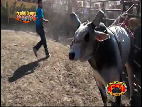 Rompiendo Frontersa 🧱02 2 los destructores de memo ocampo en pico Rivera sport arena gira 🇺🇸 02 2