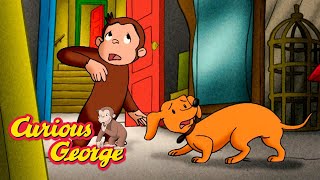 Theres Something in the Basement... 🐵 Curious George 🐵 Kids Cartoon 🐵 Kids Movies