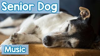 Music for Senior Dogs! Relaxing Music to Calm Old Dogs and Help them Sleep