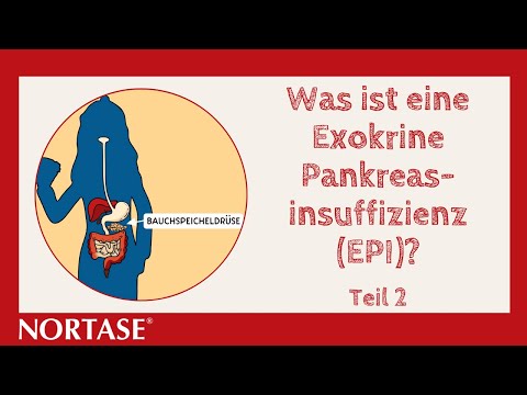 Was ist eine Exokrine Pankreasinsuffizienz (EPI)? – NORTASE® – Teil 2