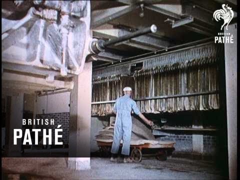 Plates By The Thousand (1961)