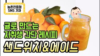 제철 과일 귤🍊 로 만드는 초간단 레시피 👩‍🍳 (feat. 귤 에이드&샌드위치)