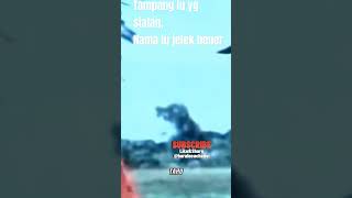 Download lagu #benyamins Benyamin Tukang ngibul; Rp 3Juta ‎@barulucuchanel  mp3