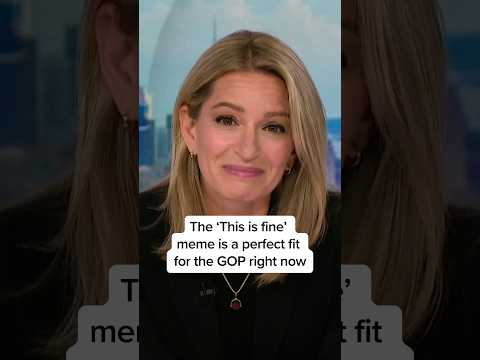The 'This is fine' meme is a perfect fit for the GOP right now