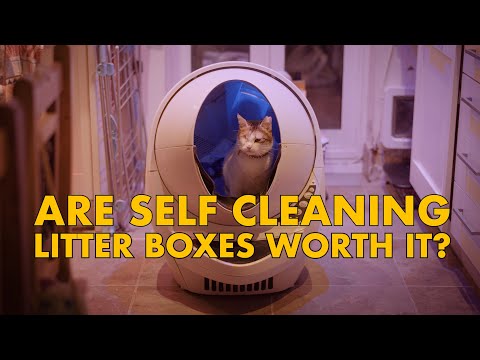 Are SELF CLEANING litter boxes WORTH IT?