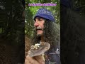 Lo Spirito Del Bosco ‍