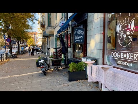 Odengatan, Stockholm. Golden leaves and morning sun.