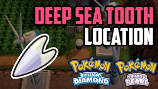 Where to Find Deep Sea Tooth - Pokémon Brilliant Diamond & Shining Pearl (All Methods)