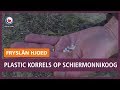 REPO: Plastic korrels op Schiermonnikoog in kaart gebracht