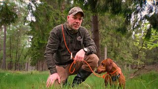 Mach den Artenschutz zu deinem Revier - Und vergiss dabei nicht, auch dich selbst zu schützen