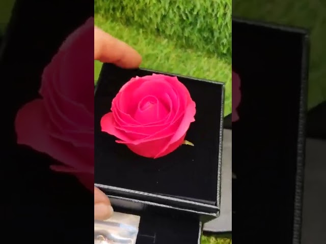 Vídeo relacionado con Emibele Flor Rosa Real Encantada + Collar de Corazón con Te Amo en 100 Idiomas, Rosa Preservada Eterna con Collar Caja de Regalo, Regalo Romántico para Novia Esposa en San Valentín Aniversario, Rojo