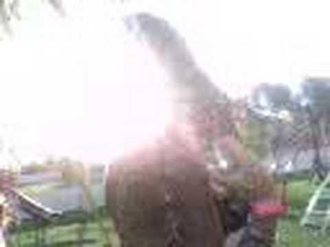 con ro en barracas central