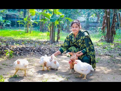 Chicken Cooking in Village by Girl & Mom | Village Food Factory & Life