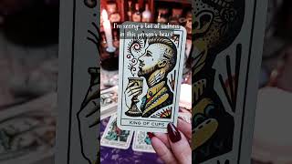 What did the tarot reader tell them about you?