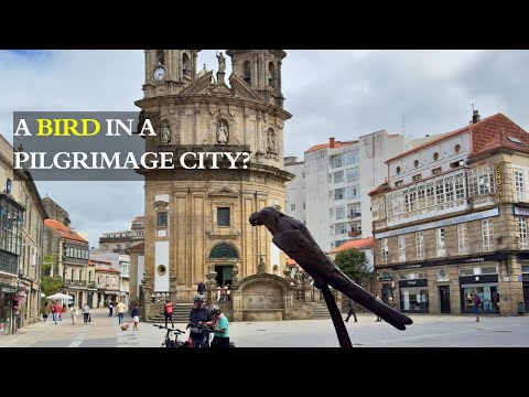 Pontevedra Spain Travel Video 4K (Trailer)