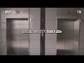 Clip 3