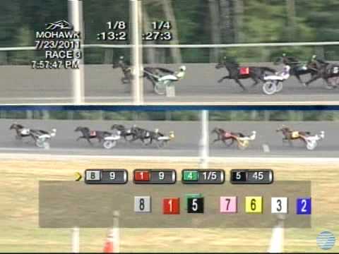 2011 Armbro Flight Stakes Final - theharnessedge.com