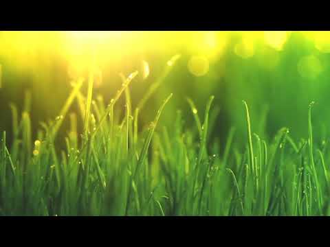 | Relaxing | | Bagpipe, Harp, Ocarina, Violon, Celtic Music |