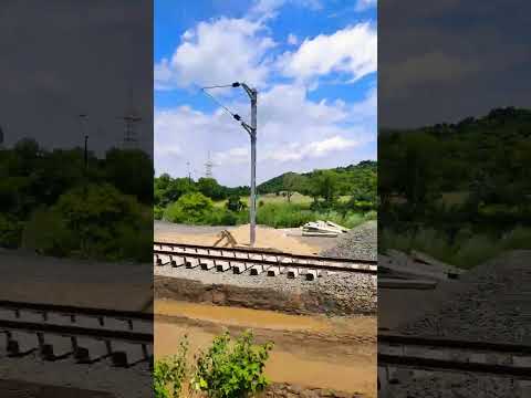 #shorts #shortsvideo #nature #environment #beautifulnature #sudiptientertainment