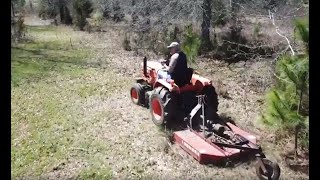 Bush Hoggin'