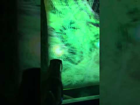 Back row point of view footage of Primordial
