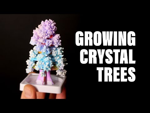 Growing Crystal Trees | NATIONAL GEOGRAPHIC Crystal Growing Garden | NewMan DIY