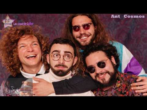 Entrevista Ant Cosmos