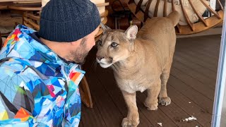 Месси устроил забастовку, пока его не пристыдили.. Пума отказывается выходит