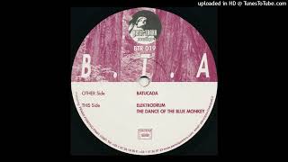 B.T.A - Batucada