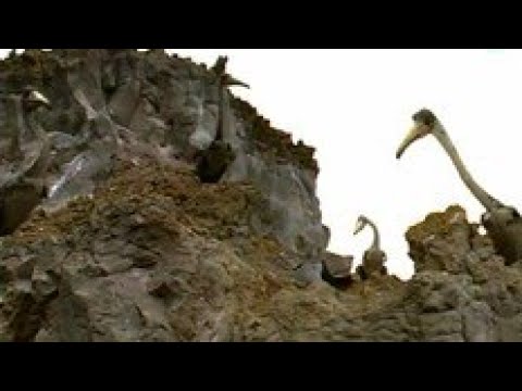 Primeval - Hesperornis