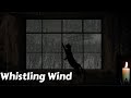 Cold Wind Whistling Through Leaky Window Good For Insomnia Relaxation Tinnitus And Meditation