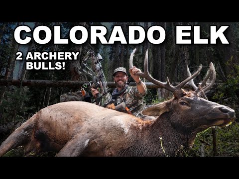 Colorado Archery Elk Hunt! (Ryan and I tagged out!)
